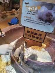 -奇幻萌宠部落(映月湖环宇城店)