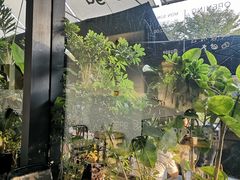 -gaga(深圳南山益田假日广场店)