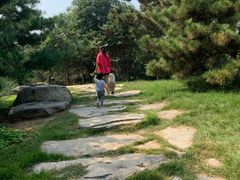 -燕郊植物园