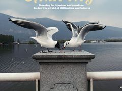-海埂大坝