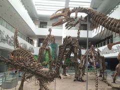 -中国地质大学逸夫博物馆