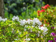 -惠山国家森林公园