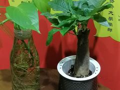 -学习谷日语培训日本留学·多语种外语教学(海淀人大分部)