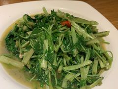 腐乳空心菜-新澳港式茶餐厅(余姚路店)