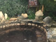 -中家鑫园温泉酒店鑫悦汤泉