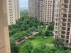 -中南·世纪锦城