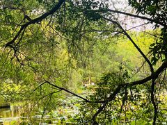 -华南国家植物园-售票处