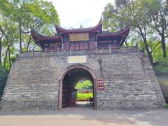 -桂湖森林公园
