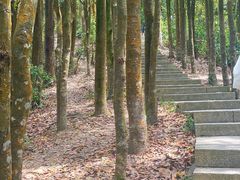 -梧桐山风景名胜区