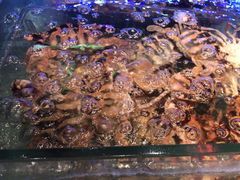 -阿伟海鲜楼·福建菜(延寿店)