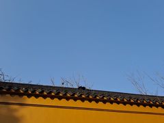 -西园戒幢律寺