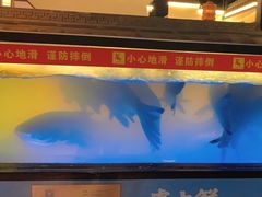 -卢大鲜鱼头捞饭(美利广场店)