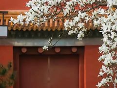 -故宫博物院(故宫)