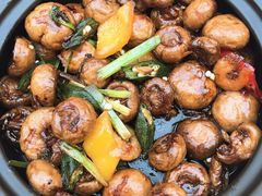 尚一汤-尚一汤·粤菜海鲜(环球港店)