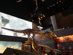 -贝林大翅鲸简餐厅(国家海洋博物馆店)