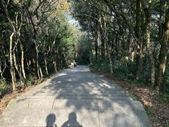 -梧桐山风景名胜区