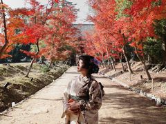 -醍醐寺