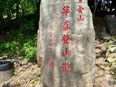 -紫金山山顶公园