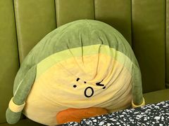 -油梨树AVOCADO TREE(顺义新国展店)