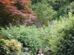 -中国茶叶博物馆(双峰馆区)