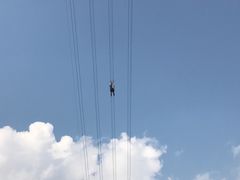 -梦幻奥陶纪景区