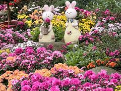 -共青国家森林公园-售票处