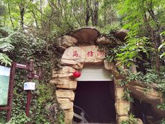 -百色大石围天坑群