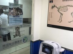 -宠福鑫动物医院(立水桥分院)