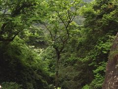 -雁荡山三折瀑景区