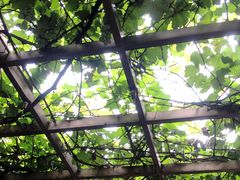 -春晖园度假酒店温泉