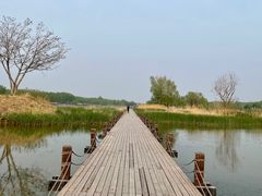-马家湾湿地公园