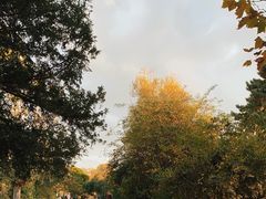 -埃菲尔铁塔