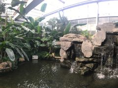 -汤山翠谷生态餐厅