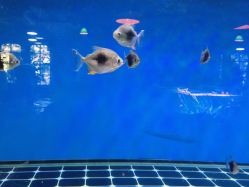 -青木造型HAIR·あおき髪を刈る潮人店