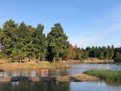 -宁波杭州湾国家湿地公园