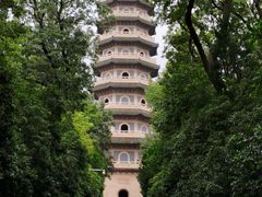 -灵谷景区