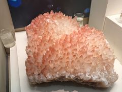 -天津自然博物馆