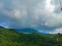 -鼎湖山风景区