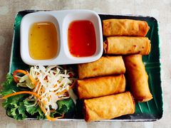-Jungle Kitchen