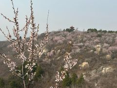 -白水寺森林公园