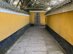 -普陀山风景区-佛顶山