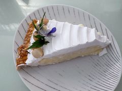 -Fern Forest Cafe