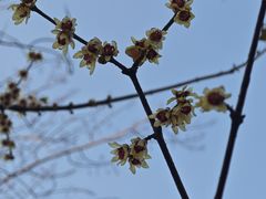 -丰台花园