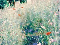 -光明小镇欢乐田园