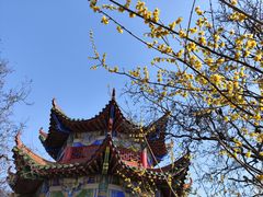 -开福禅寺