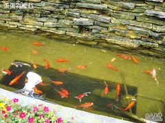 nEO_IMG_DSC04825-老洋房花园饭店(绍兴路店)