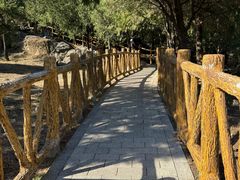 -白水寺森林公园