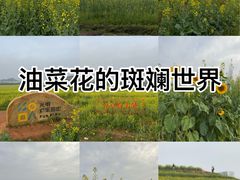 -光明小镇欢乐田园