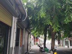 -美兰春记食店·龙舌坡红烧牛肉