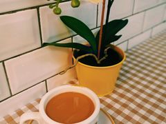 热奶茶-赏饮·WILL TEA